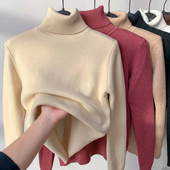 Jersey | knitted Turtleneck 50% Discount