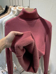 Jersey | knitted Turtleneck 50% Discount